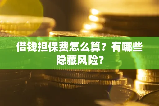 武汉借钱担保费怎么算？有哪些隐藏风险？