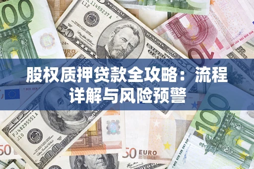 武汉股权质押贷款全攻略：流程详解与风险预警