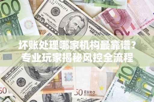 武汉坏账处理哪家机构最靠谱？专业玩家揭秘风控全流程