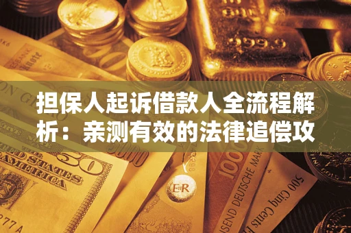 武汉担保人起诉借款人全流程解析：亲测有效的法律追偿攻略