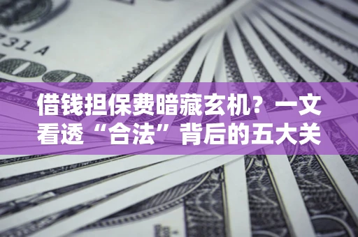 武汉借钱担保费暗藏玄机？一文看透“合法”背后的五大关键陷阱