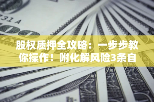 武汉股权质押全攻略：一步步教你操作！附化解风险3条自救法则