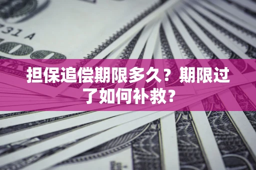 武汉担保追偿期限多久？期限过了如何补救？