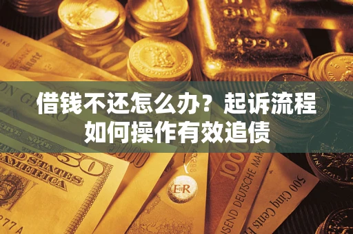 武汉借钱不还怎么办？起诉流程如何操作有效追债