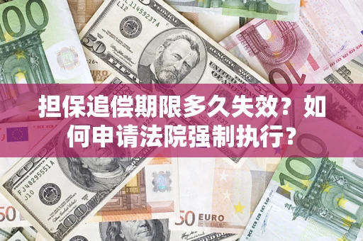 武汉担保追偿期限多久失效？如何申请法院强制执行？