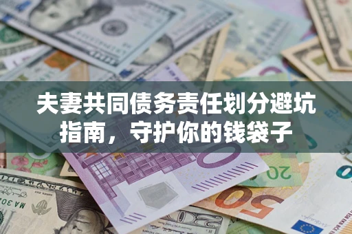 武汉夫妻共同债务责任划分避坑指南，守护你的钱袋子