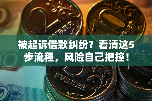 武汉被起诉借款纠纷？看清这5步流程，风险自己把控！
