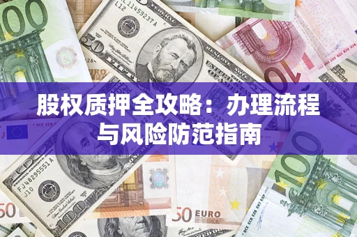 武汉股权质押全攻略：办理流程与风险防范指南